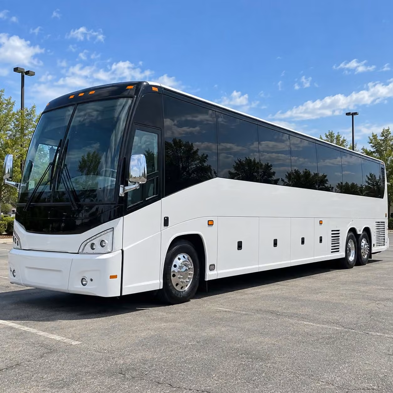 prom homecoming transportation services in st cloud